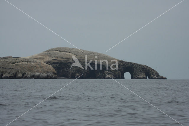 Ballestas eilanden