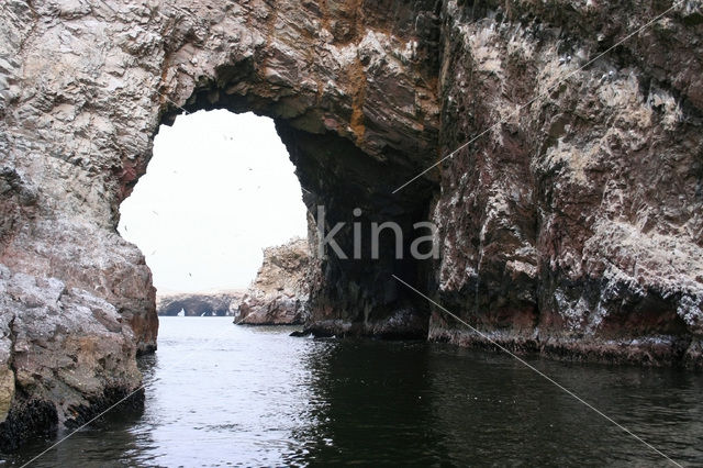 Ballestas eilanden