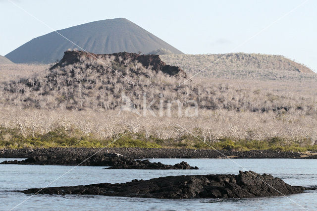 Galapagos eilanden