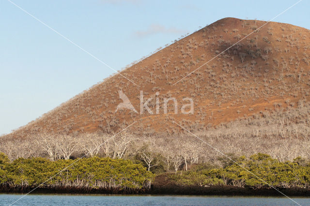 Galapagos eilanden