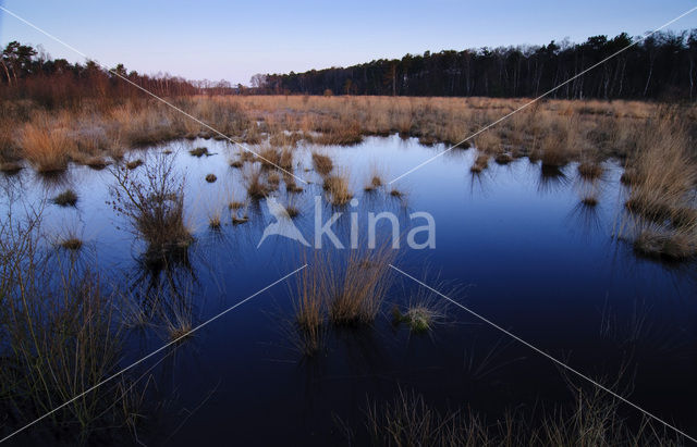 Haaksbergerveen