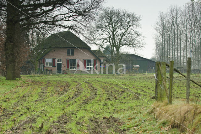 Het Binnenveld