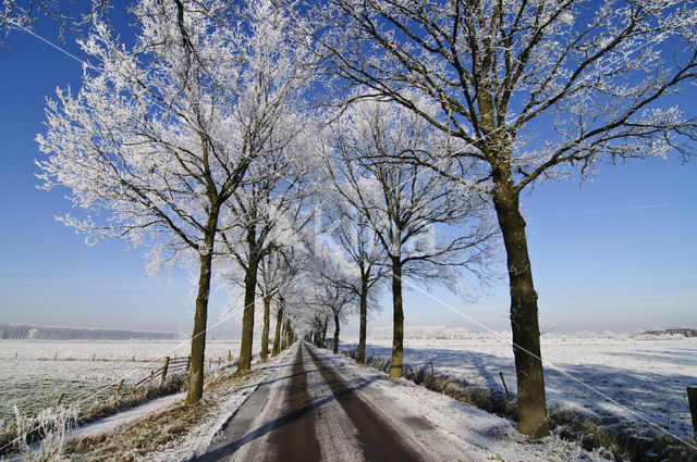 Het Binnenveld