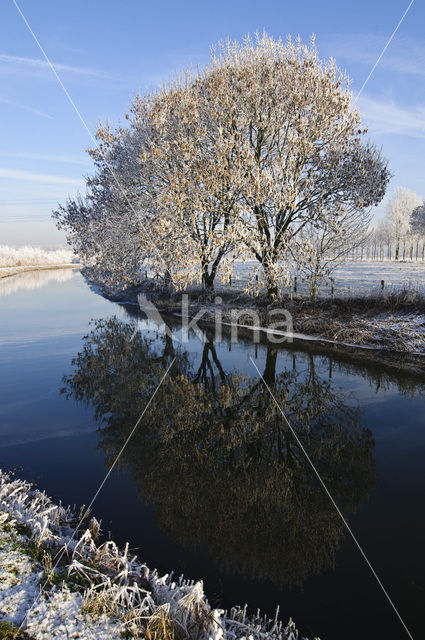 Het Binnenveld