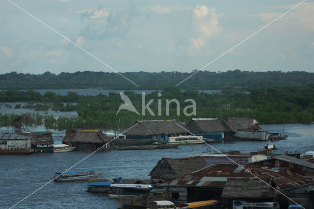 Iquitos