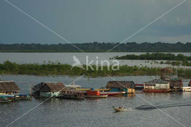 Iquitos