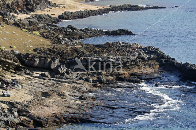 Isla Bartolomé