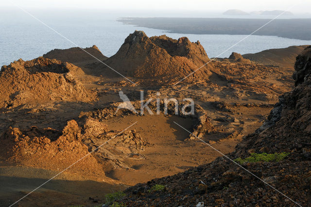 Isla Bartolomé