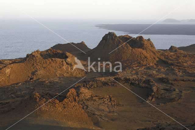 Isla Bartolomé