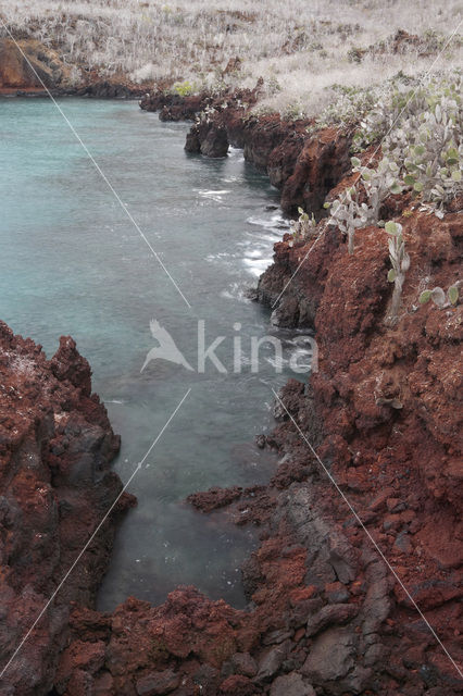 Isla Rabida