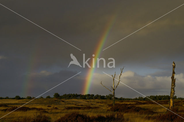 Nationaal Park De Hoge Veluwe