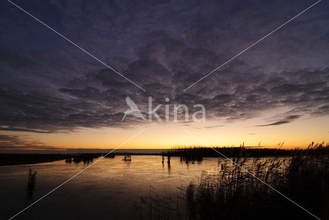 Nationaal Park Lauwersmeer