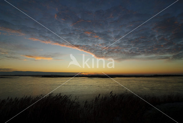 Nationaal Park Lauwersmeer