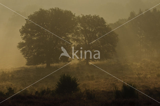 Nationaal Park Veluwezoom