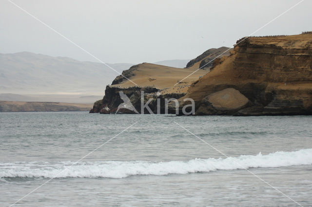 Paracas National Reserve