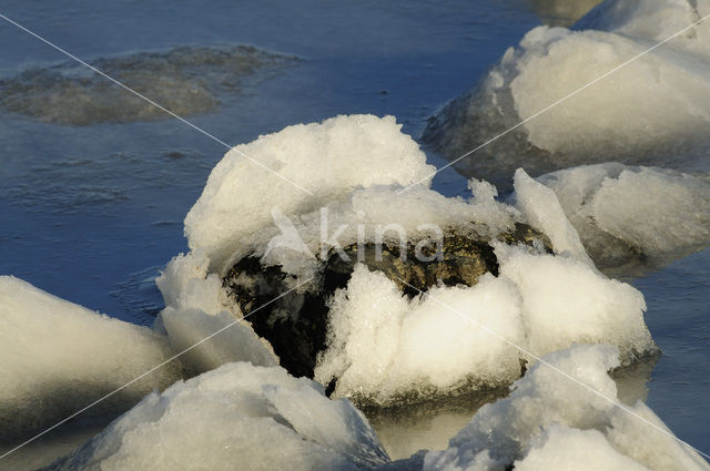 Waddenzee