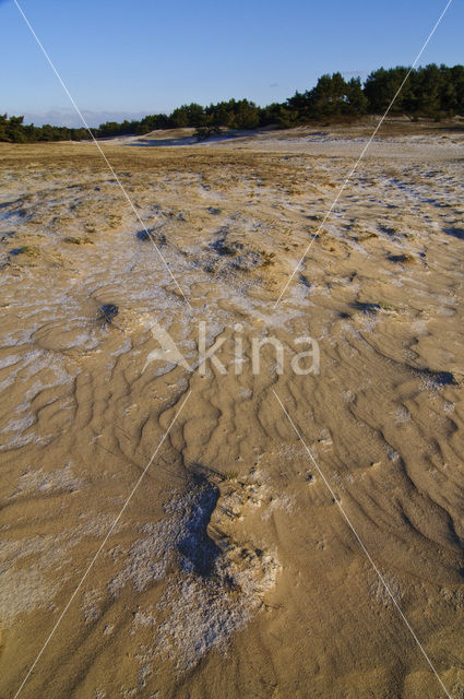 Wekeromse zand