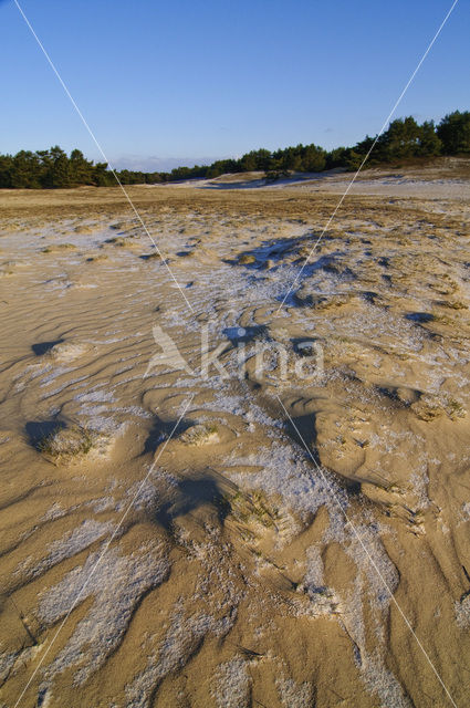 Wekeromse zand