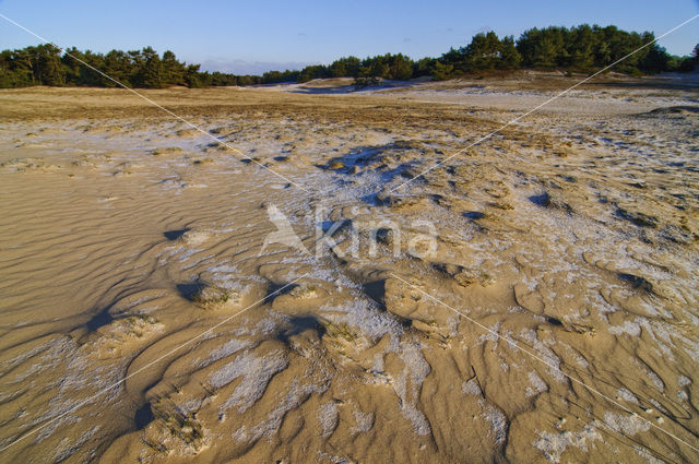 Wekeromse zand