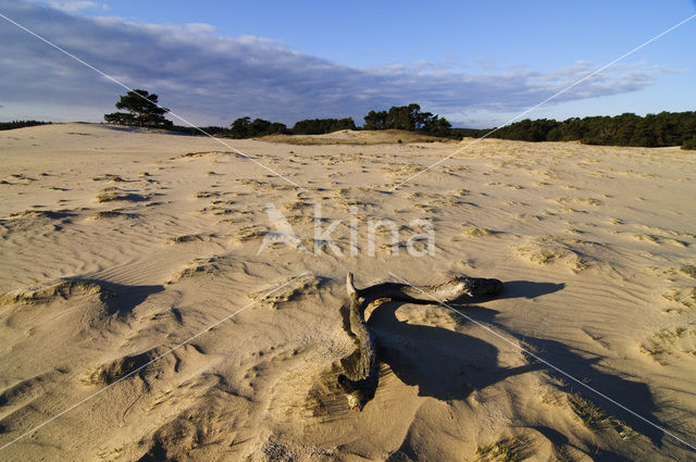 Wekeromse zand