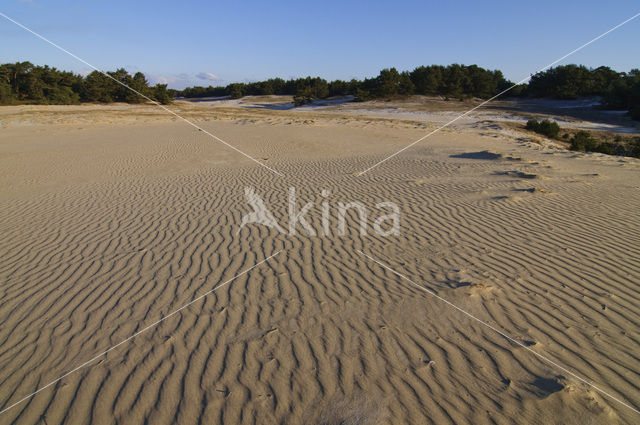 Wekeromse zand