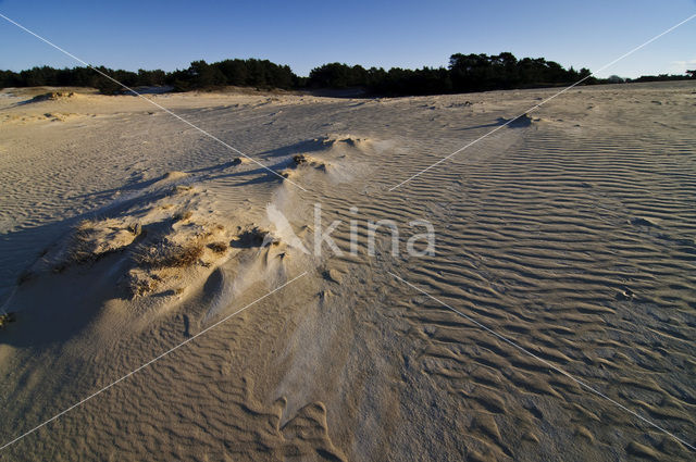 Wekeromse zand