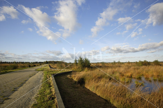 Fochteloërveen