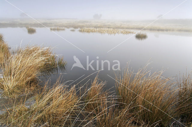 Hoog Buurlose Heide