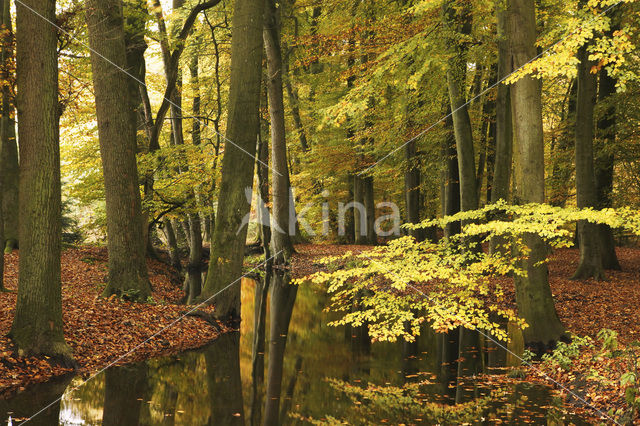 Landgoed Leuvenhorst