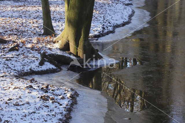 Landgoed Leuvenhorst