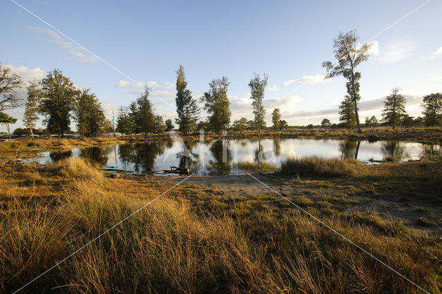 Nationaal Park Drents-Friese Wold