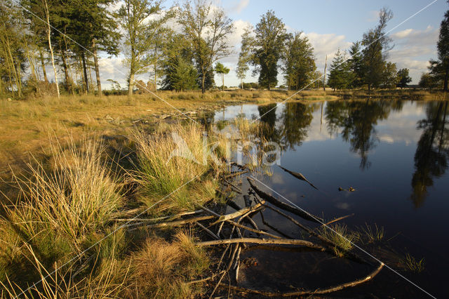 Nationaal Park Drents-Friese Wold