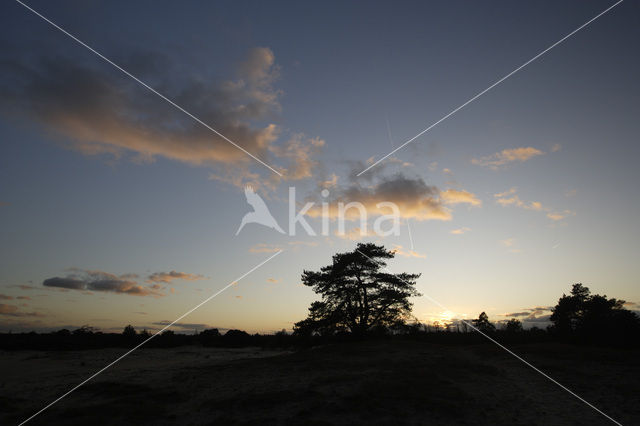 Nationaal Park Drents-Friese Wold