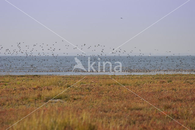 Nationaal park Schiermonnikoog