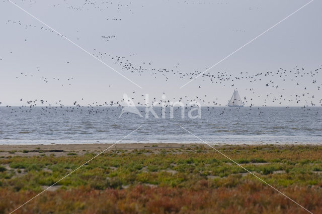 Nationaal park Schiermonnikoog