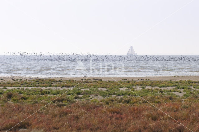 Nationaal park Schiermonnikoog