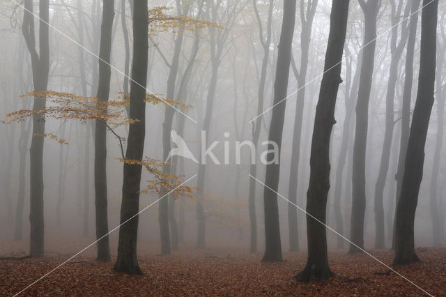 Nationaal Park Veluwezoom