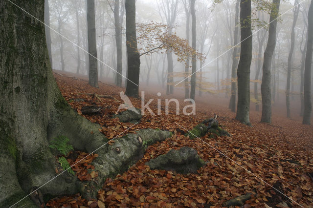 Nationaal Park Veluwezoom