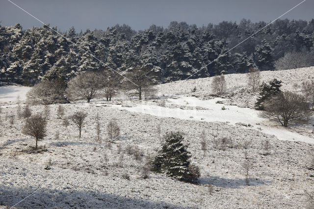 Nationaal Park Veluwezoom