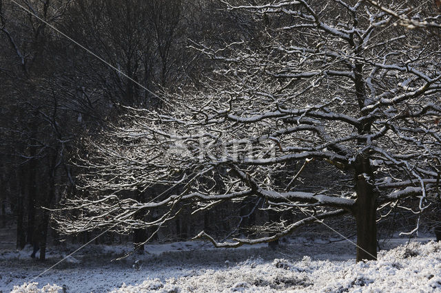 Nationaal Park Veluwezoom