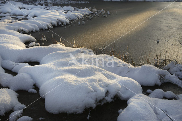 Veluwe