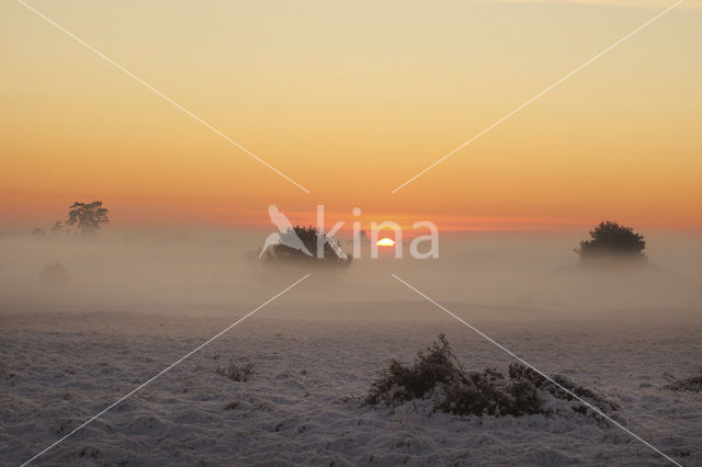 Veluwe