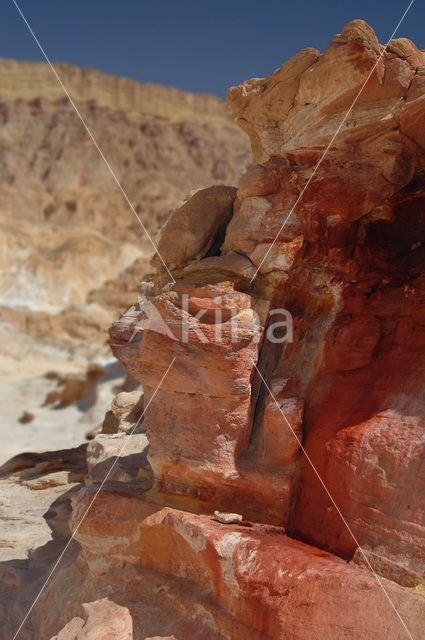 Coloured Canyon