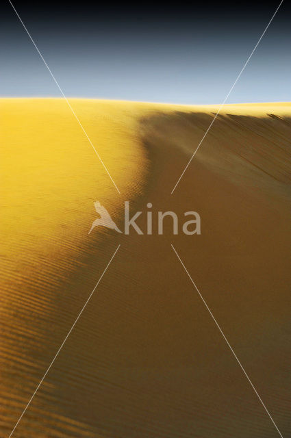 Libyan Desert