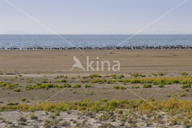 Nationaal park Schiermonnikoog