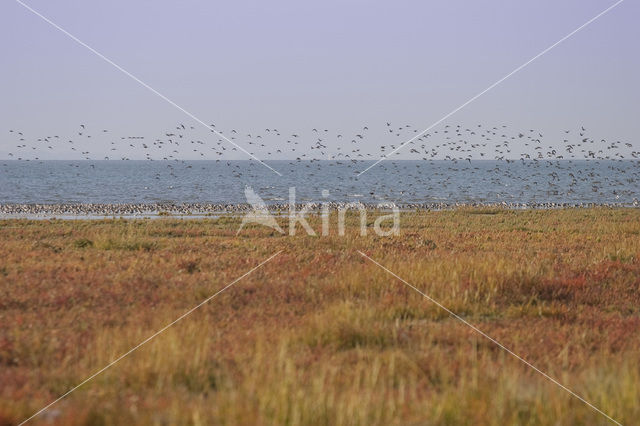 Nationaal park Schiermonnikoog