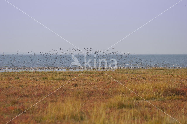 Nationaal park Schiermonnikoog