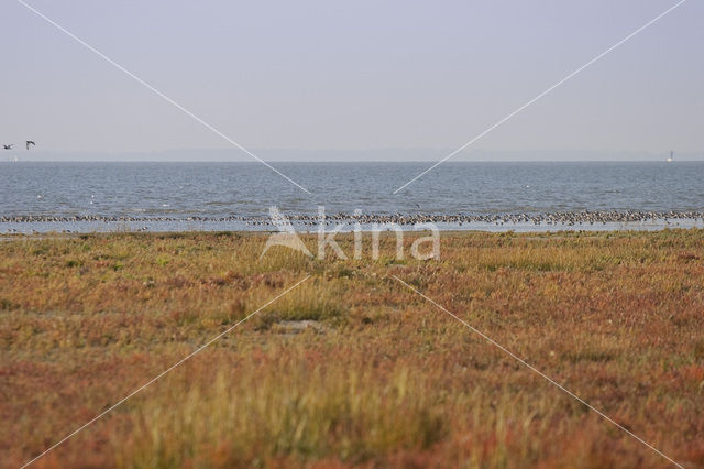 Nationaal park Schiermonnikoog