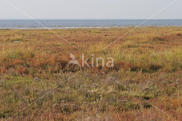 Nationaal park Schiermonnikoog