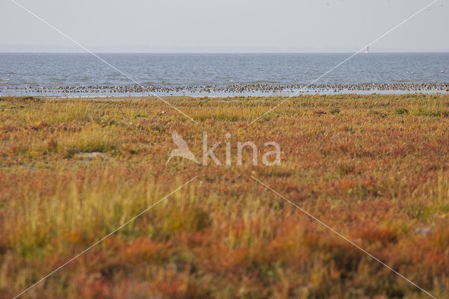 Nationaal park Schiermonnikoog